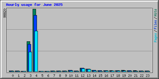 Hourly usage for June 2025